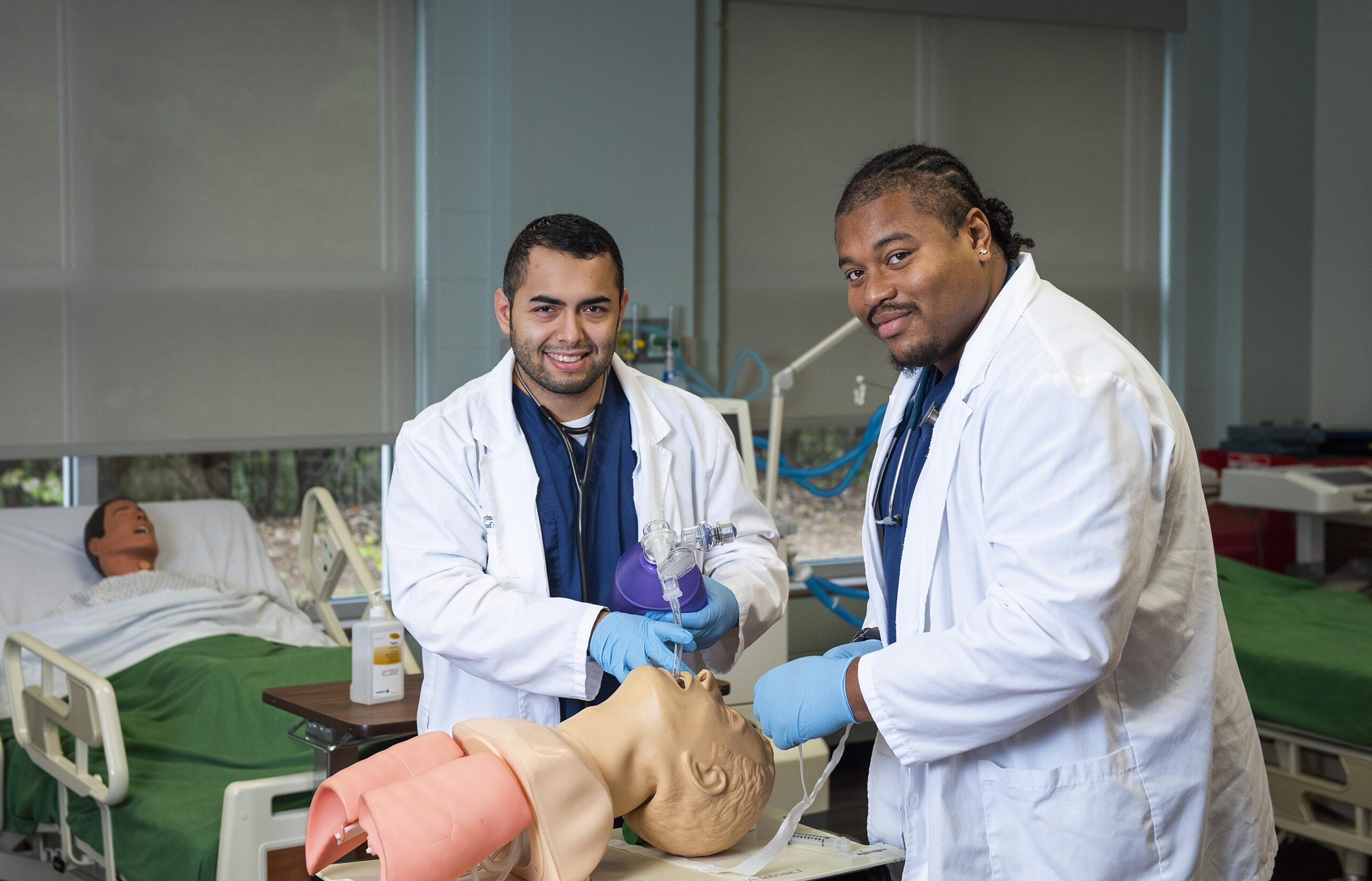 两个医科学生在人体模型上练习.